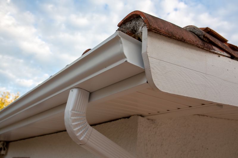 Gutter Cover Experts in Dublin